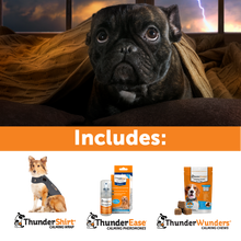 Summer Survival Storm/ Fireworks Stress Relief ThunderShirt® + ThunderEase + ThunderWunders Calming Chews Bundle Set