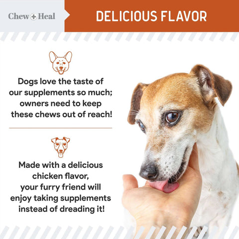 Image of Chew + Heal Allergy Chews with Antioxidants