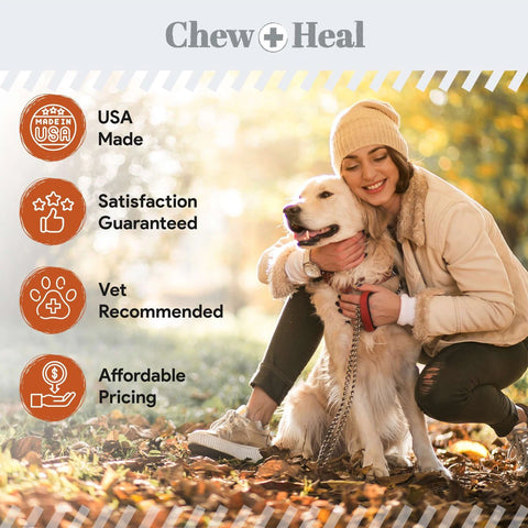 Image of Chew + Heal Allergy Chews with Antioxidants