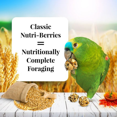 Image of Lafeber's Classic Nutri-Berries for Parrots, 14 lb.