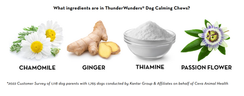 Image of ThunderWunders Dog Calming Chews | Thiamine, L-Tryptophan, Melatonin and Ginger | Can Help Relieve Stress from Separation, Storms, Fireworks & Travel