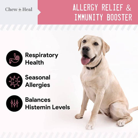 Image of Chew + Heal Allergy Chews with Antioxidants