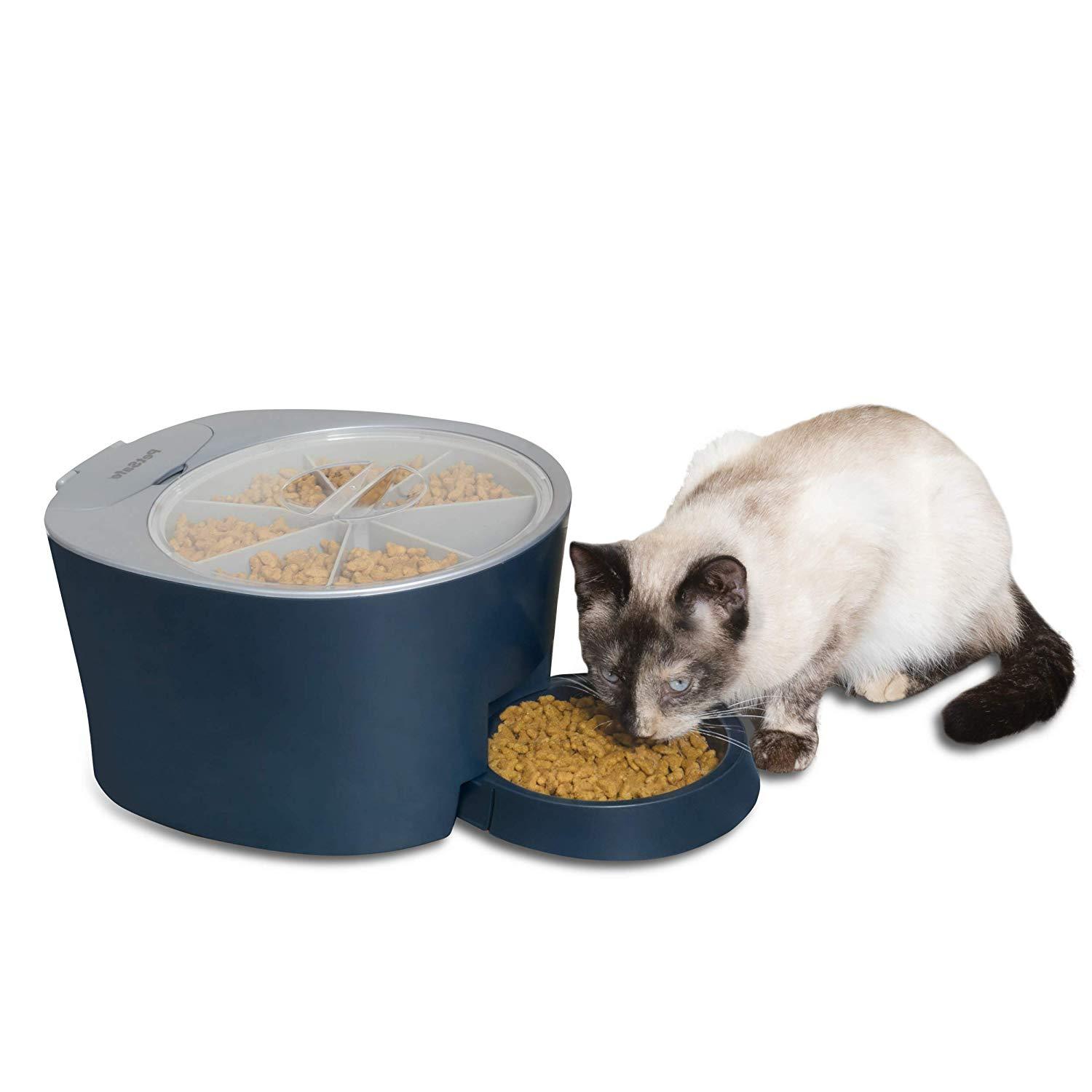 https://www.careaboutmypet.com/cdn/shop/products/71591Ka-eeL._SL1500.jpg?v=1572456536