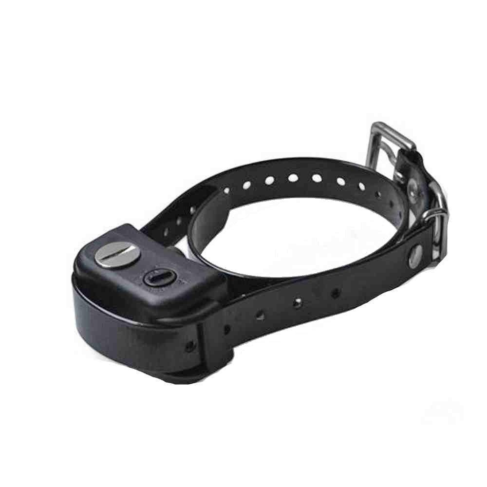 buddy buddy dog training collar