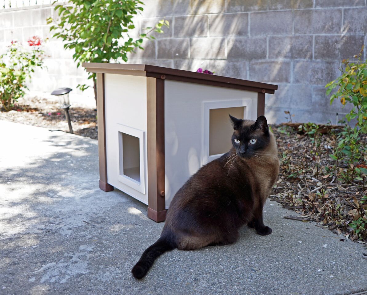 Ecoflex albany outdoor feral cat house sale