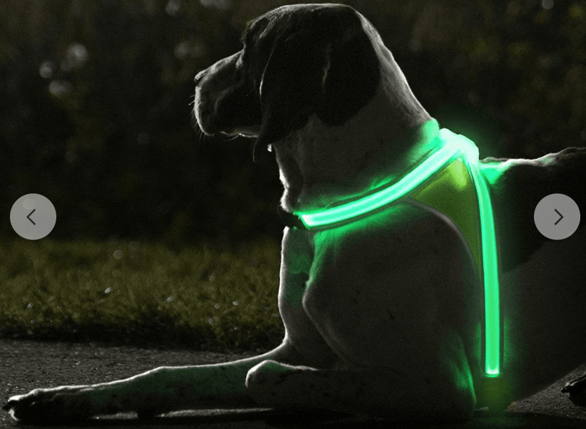 Noxgear lighthound led illuminated hotsell & reflective dog harness