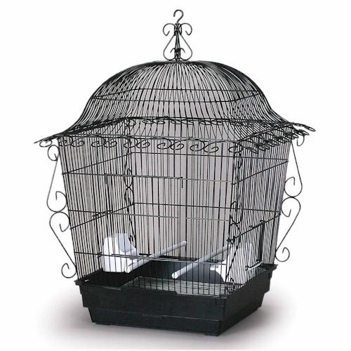 Prevue Pet Elegant Scrollwork Bird Cage – Care About My Pet
