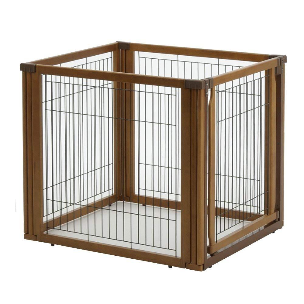 Why Crate Training is Important - Richell USA Inc.